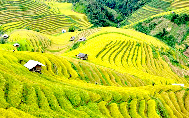 Dịch vụ thành lập doanh nghiệp tại Yên Bái