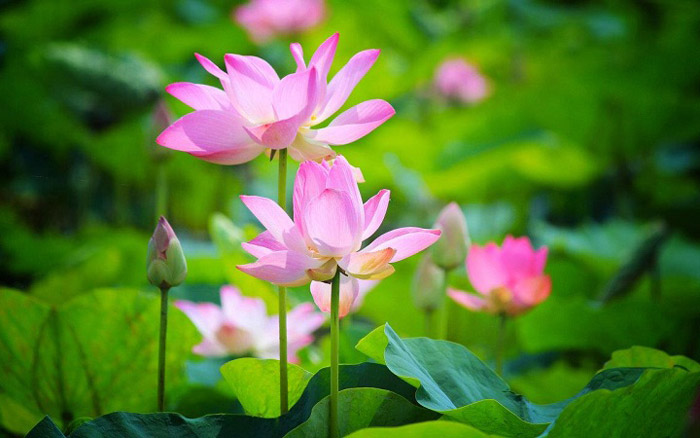 Dịch vụ thành lập công ty tại Đồng Tháp