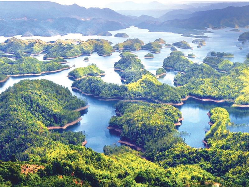 Dịch vụ thành lập công ty tại Đăk Nông