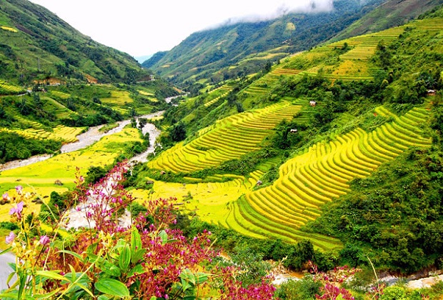 Dịch vụ thành lập doanh nghiệp tại Điện Biên