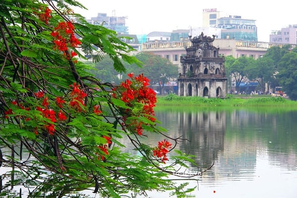 Dịch vụ thành lập doanh nghiệp tại Hà Nội