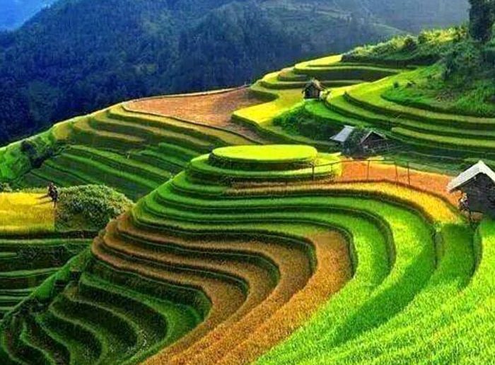 Dịch vụ thành lập doanh nghiệp tại Lai Châu